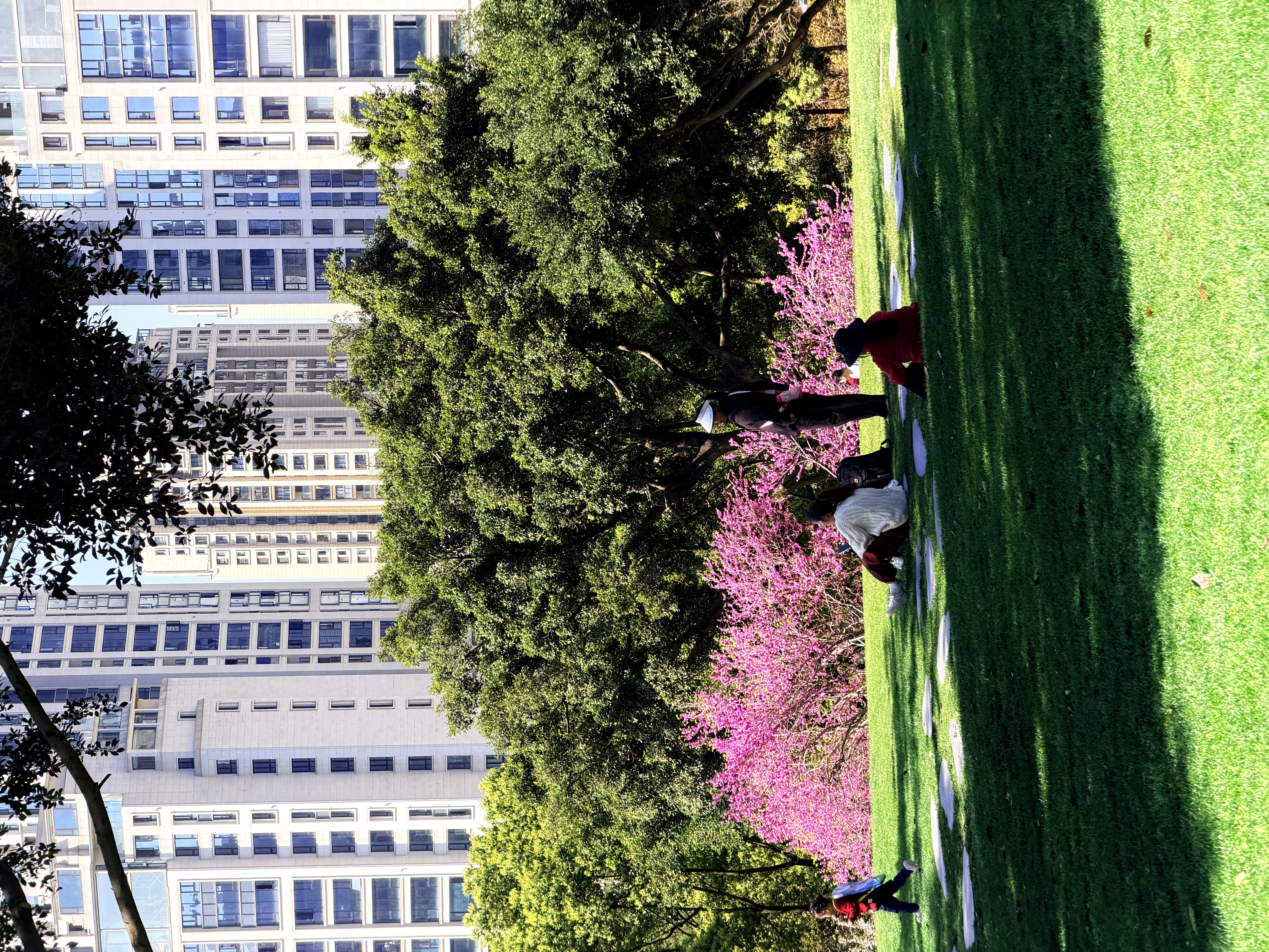 重庆中央公园，温暖的阳光与经历后的平静